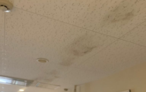京都府京都市　病院の天井カビを除去