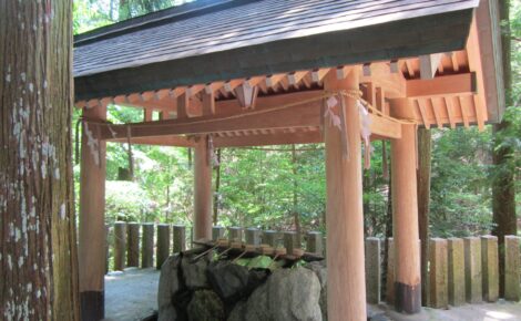 三重県津市　川上山若宮八幡宮のカビ除去